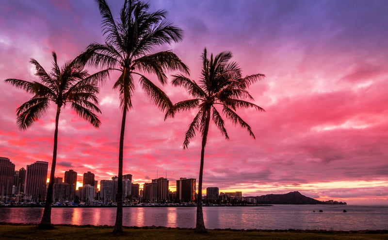 Aloha & Welcome to 2019
